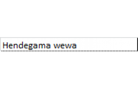 Hendegama wewa